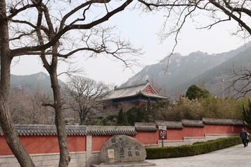 崂山 (79)