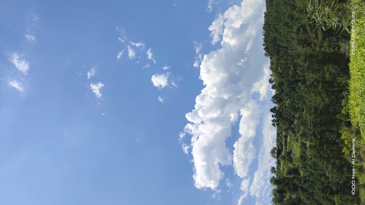 i want that my love to you will turn into bright sunlight so