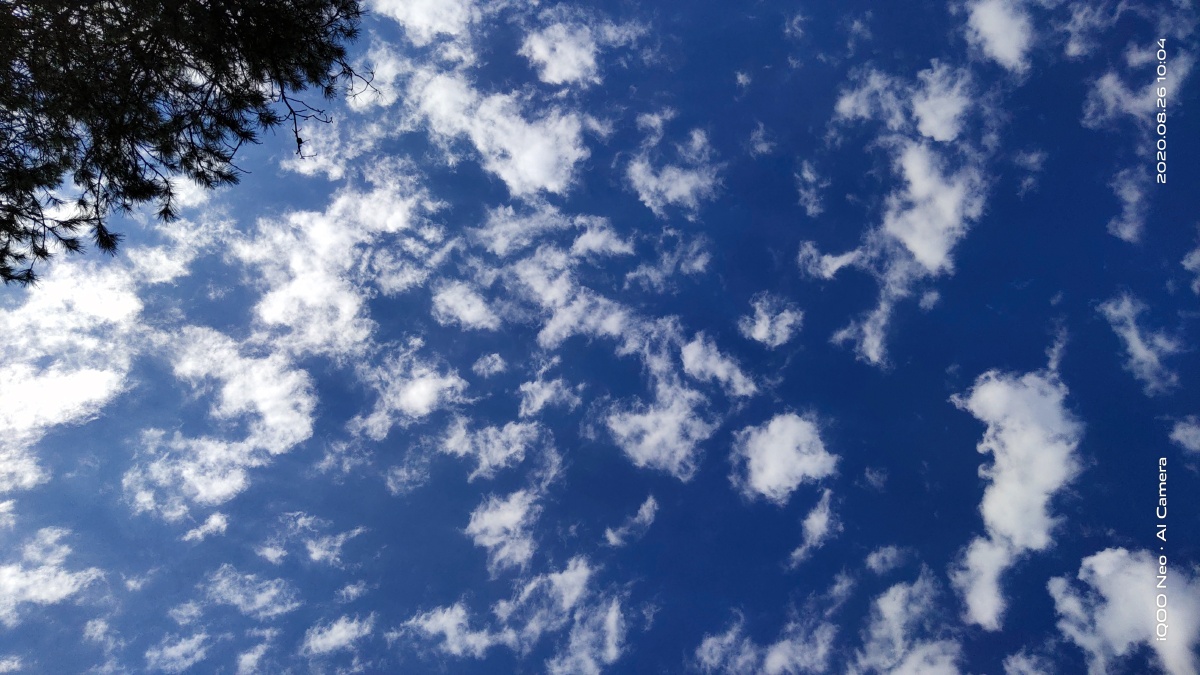 i want that my love to you will turn into bright sunlight so