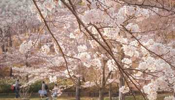 05C5EB26-B8F8-4A6E-AE3E-E8408218E41C/L0/001