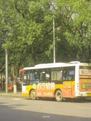 183944