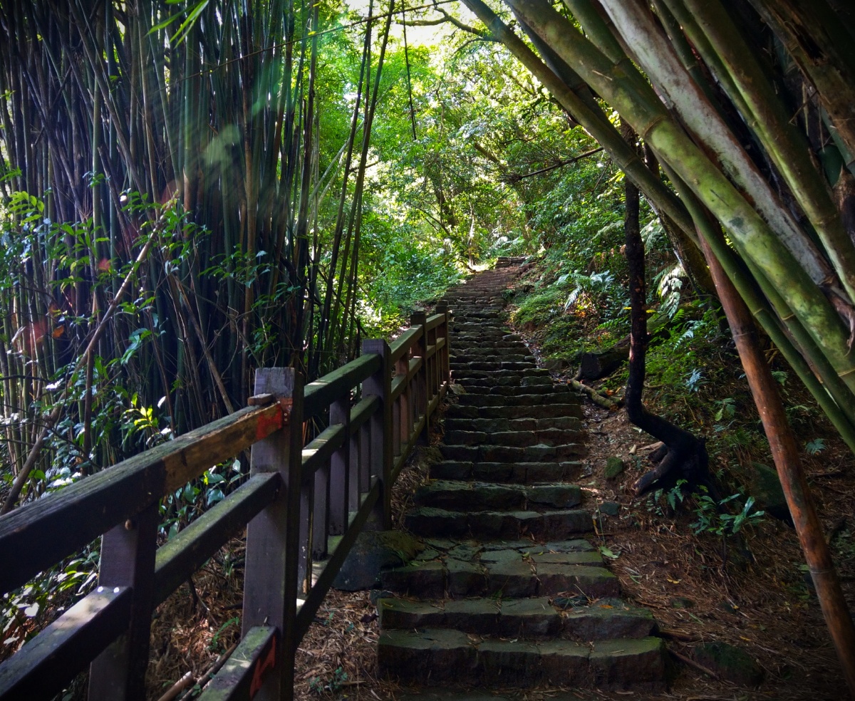 雨淋阳明山台湾