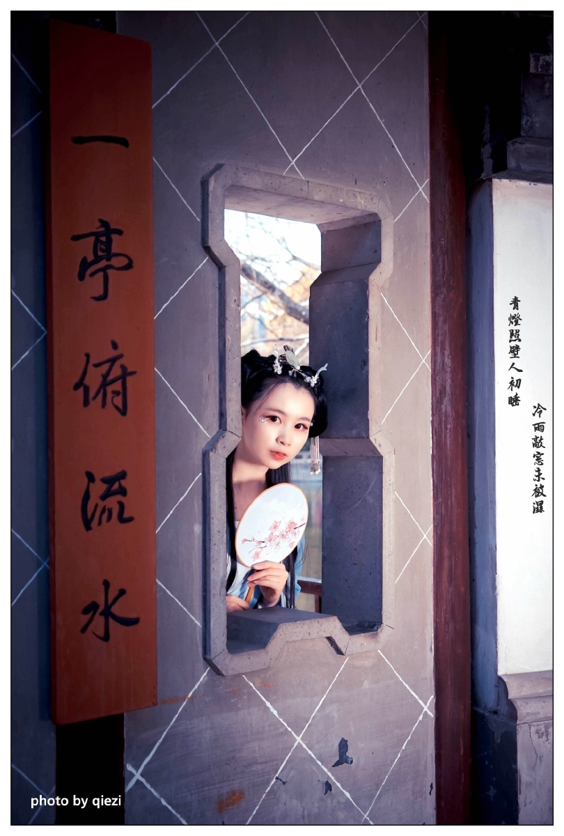 一曲《葬花吟》,天涯何处觅知音。 - 一只茄子