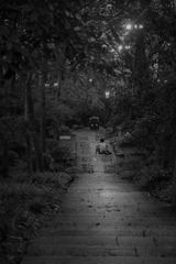 D5465650-2450-4EBF-9B05-6E6F1DD3F750/L0/001