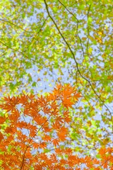 79930907-7655-4C78-B88F-F8E9096D3D9C/L0/001