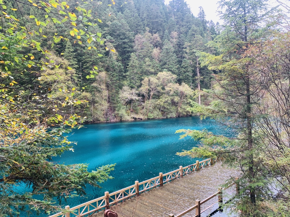 九寨沟的五彩池