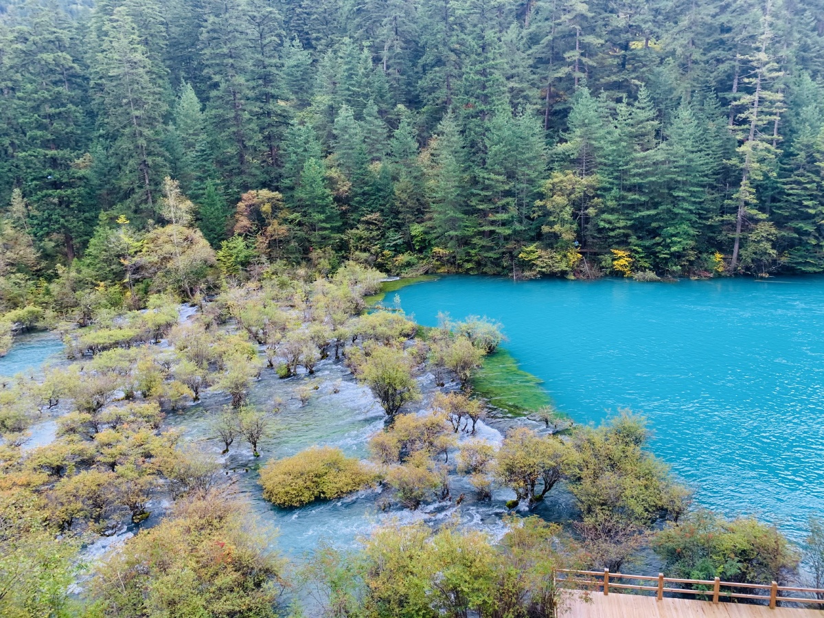 九寨沟之旅秋天最美的风景