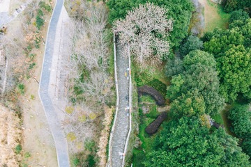 DJI_0841