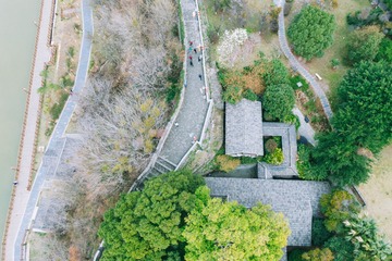 DJI_0839