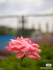 570110