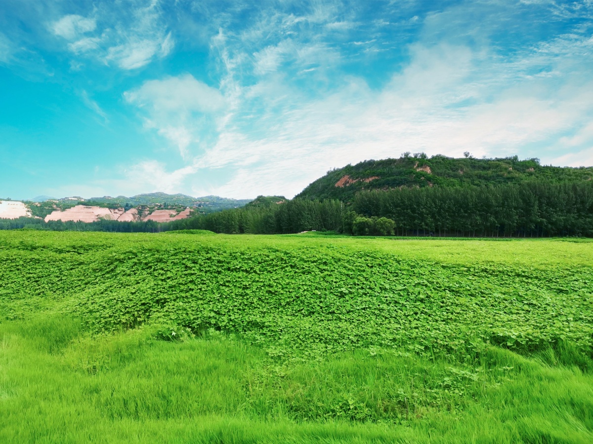 草原湖泊山水林田湖草