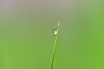 2114