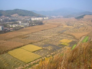 3716439