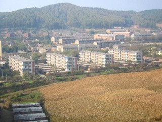 3716438