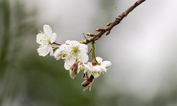A25FF372-78EE-4874-B047-020695F40816/L0/001