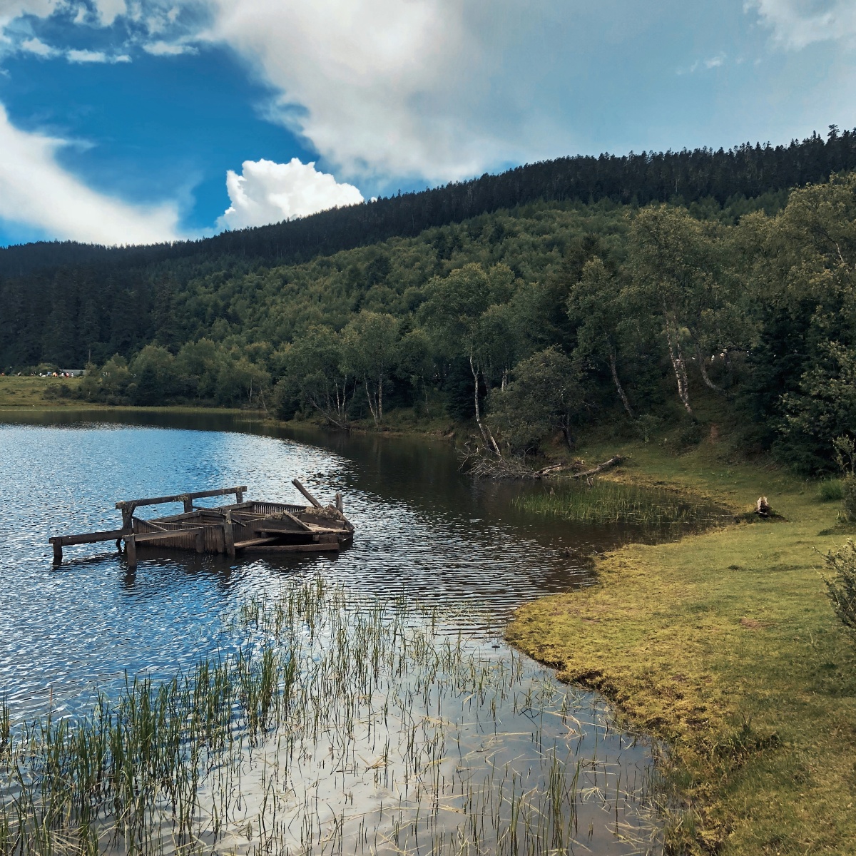 小塘麦田水塘小船岸边乡村自然风光