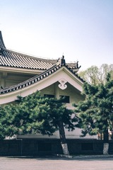 2CA95F34-F4A3-42B4-AF3A-4D9611F3D40A/L0/001