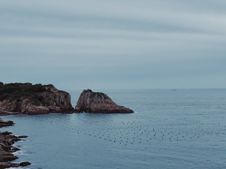 7C79DBE4-D6B3-4210-B322-A32226845731/L0/001