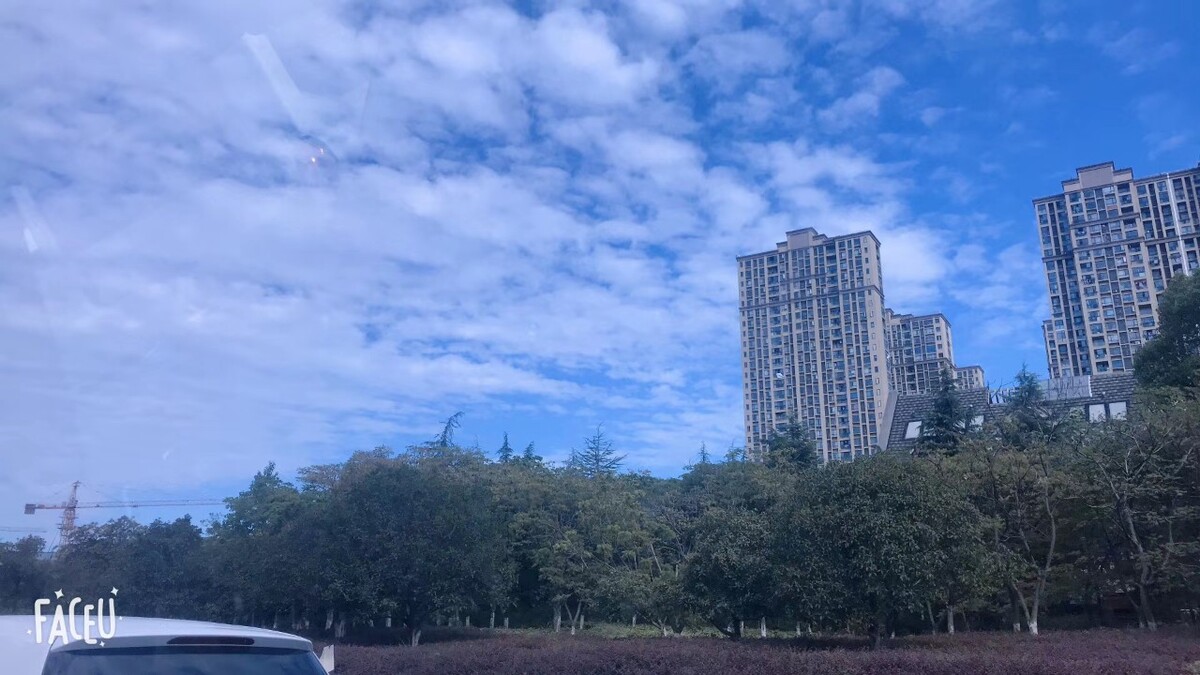 许言泽 图虫