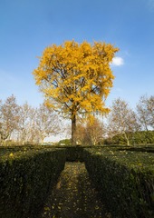 1564803