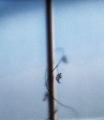 02C96481-635B-4505-AC4A-A6FE63CA4296/L0/001