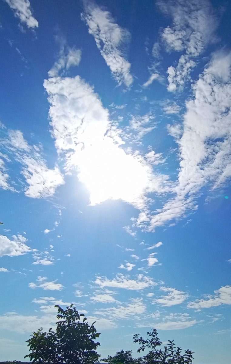 晴朗的天空下照耀着可爱的你.