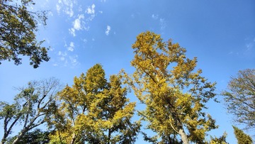 1000108166