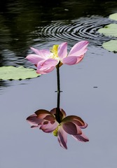 _DSC5022S