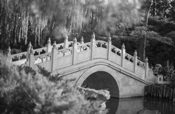 _MG_4176桥