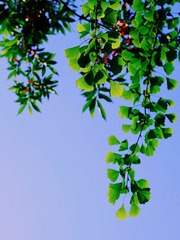 0F56057A-B254-4A2A-967E-F2897C9A276A/L0/001