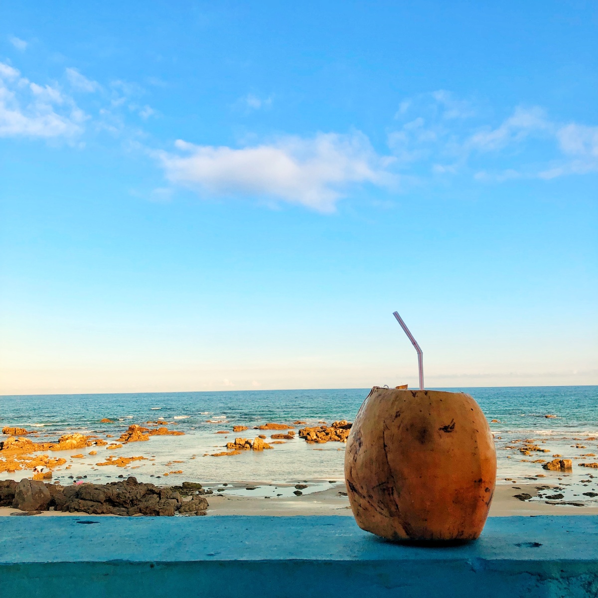 海南的金椰子喝一口就爱上