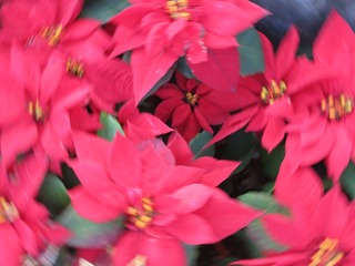 B3550400-CDC5-422A-B5A3-A1D903071B3F/L0/001