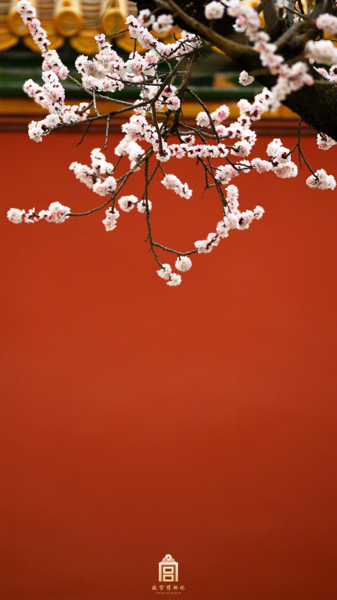 . 有一种红叫故宫红 - 钟羽生 - 图虫