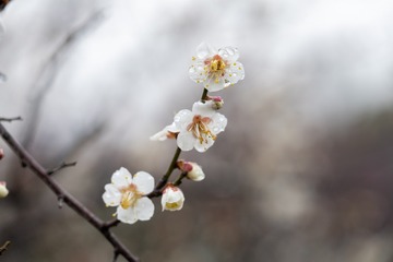 929FF98F-B8B6-4B59-A831-5BB6A3545AC1/L0/001