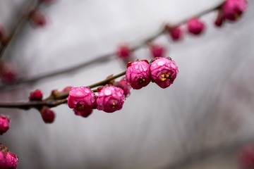 14B89E68-F39D-4475-8744-0A92E6872D23/L0/001