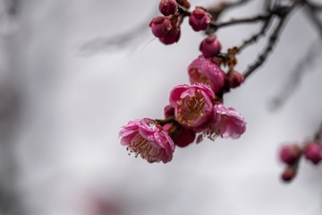 516C92B2-B9AC-4F9E-BDD9-6CFF8746D7E9/L0/001