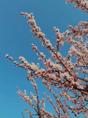 09B99EA6-1A34-4821-A968-D62CBCCCA852/L0/001