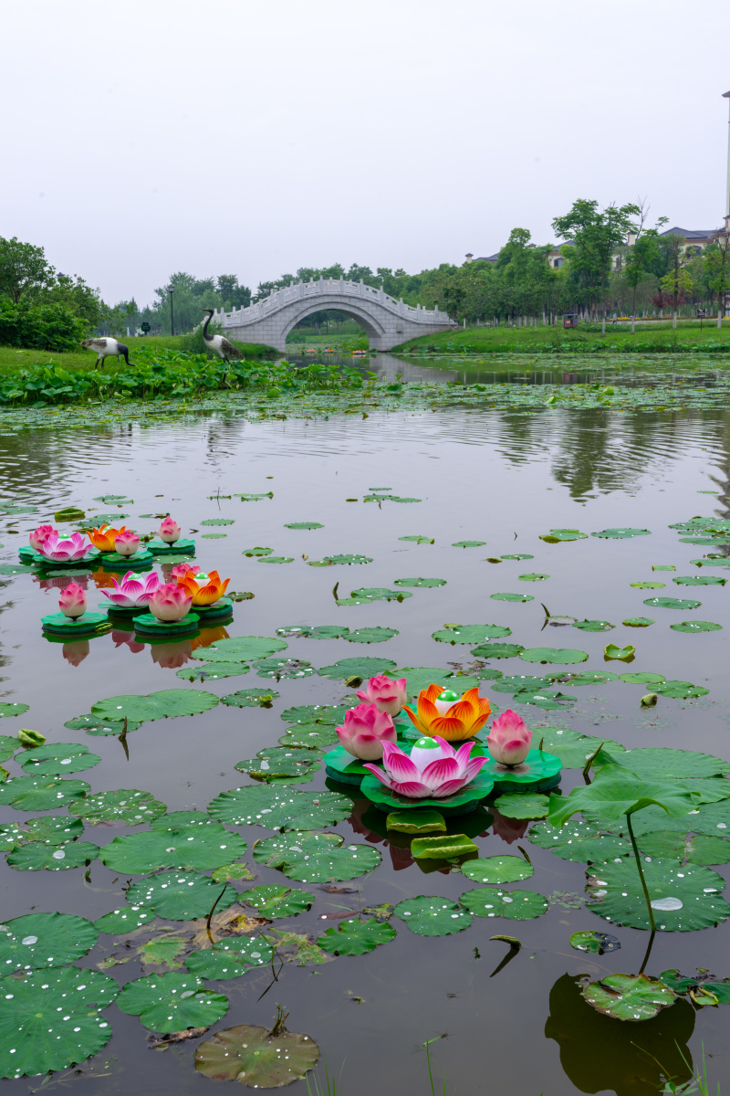 江陵县龙源湖风景