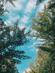 C609A131-B12A-4181-A1D8-35C4C4D0C8DD/L0/001