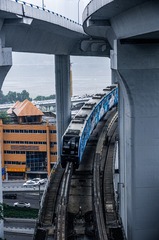 1162852
