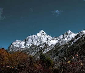 1141774