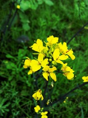 B6C5643E-2929-40A9-96AE-FD487503F025/L0/001