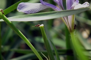 DSCF4772a