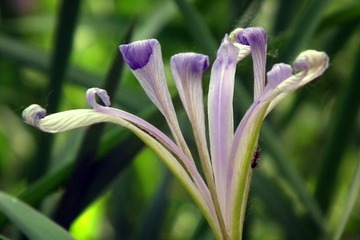 DSCF4718a