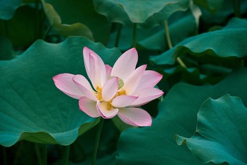 001