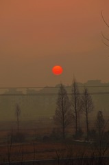 E3F3FF12-9AF5-4B4E-9304-3FD0172E416E/L0/001