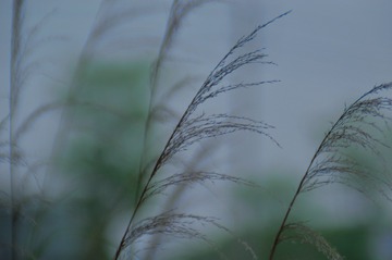 A7078FDF-5349-4460-AB84-F6C6AA2962F0/L0/001