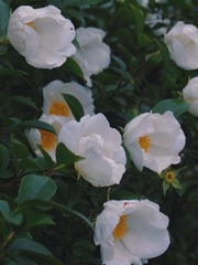 1A970E32-0150-4304-9EFC-EF8601215D73/L0/001