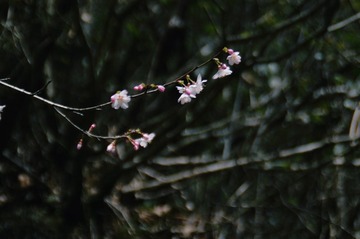9E93786E-4E3C-4DC6-9749-B6F12AAA16BE/L0/001