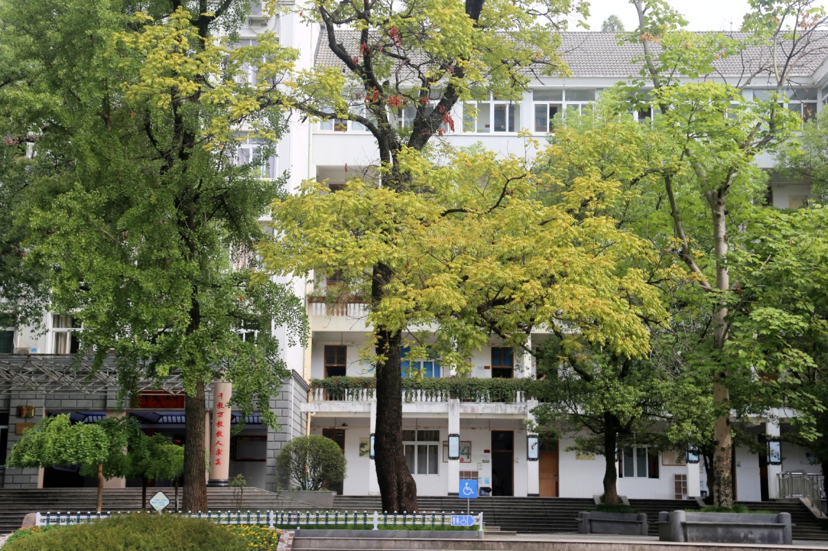 美丽的处州中学秋意初现